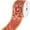 Red, variant on Homeford Christmas Metallic Embossed Swirls Wired Ribbon, Red, 2-1/2-inch, 10-yard