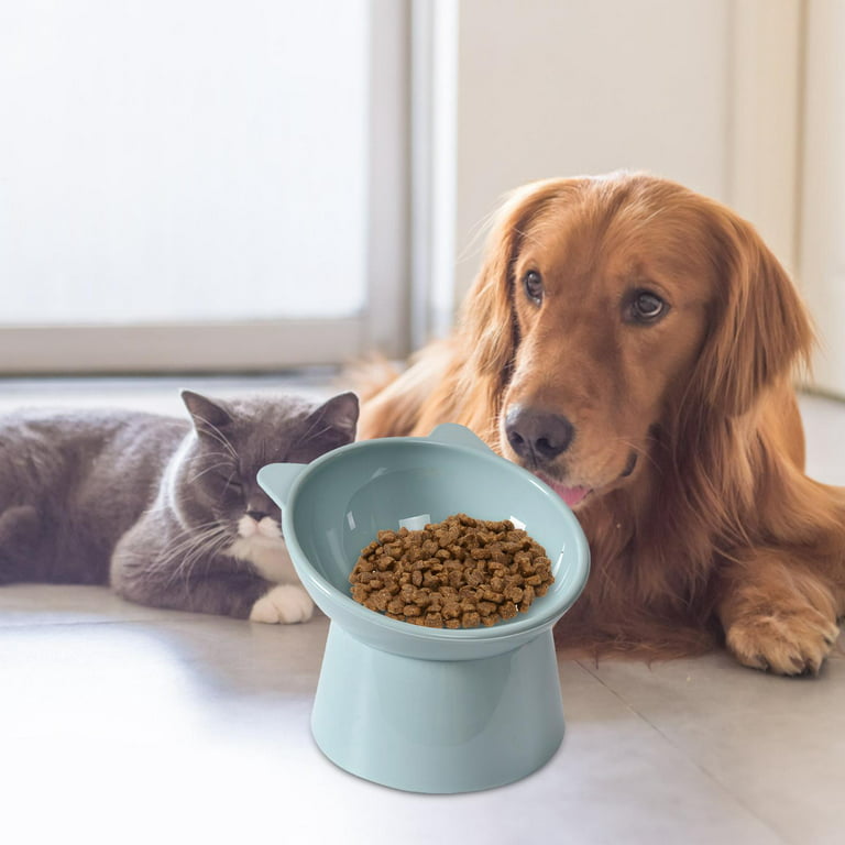 0°/15° Tilted Raised Cat Food Bowl Set, Stuffygreenus Stainless Steel Cat  Dog Feeding Bowls for Food Water Anti Vomiting Elevated with Stand  Ergonomic