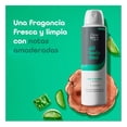 thumbnail image 4 of Desodorante Dove Men+Care All Body Deo Aerosol Aloe & Bamboo, 4 of 4