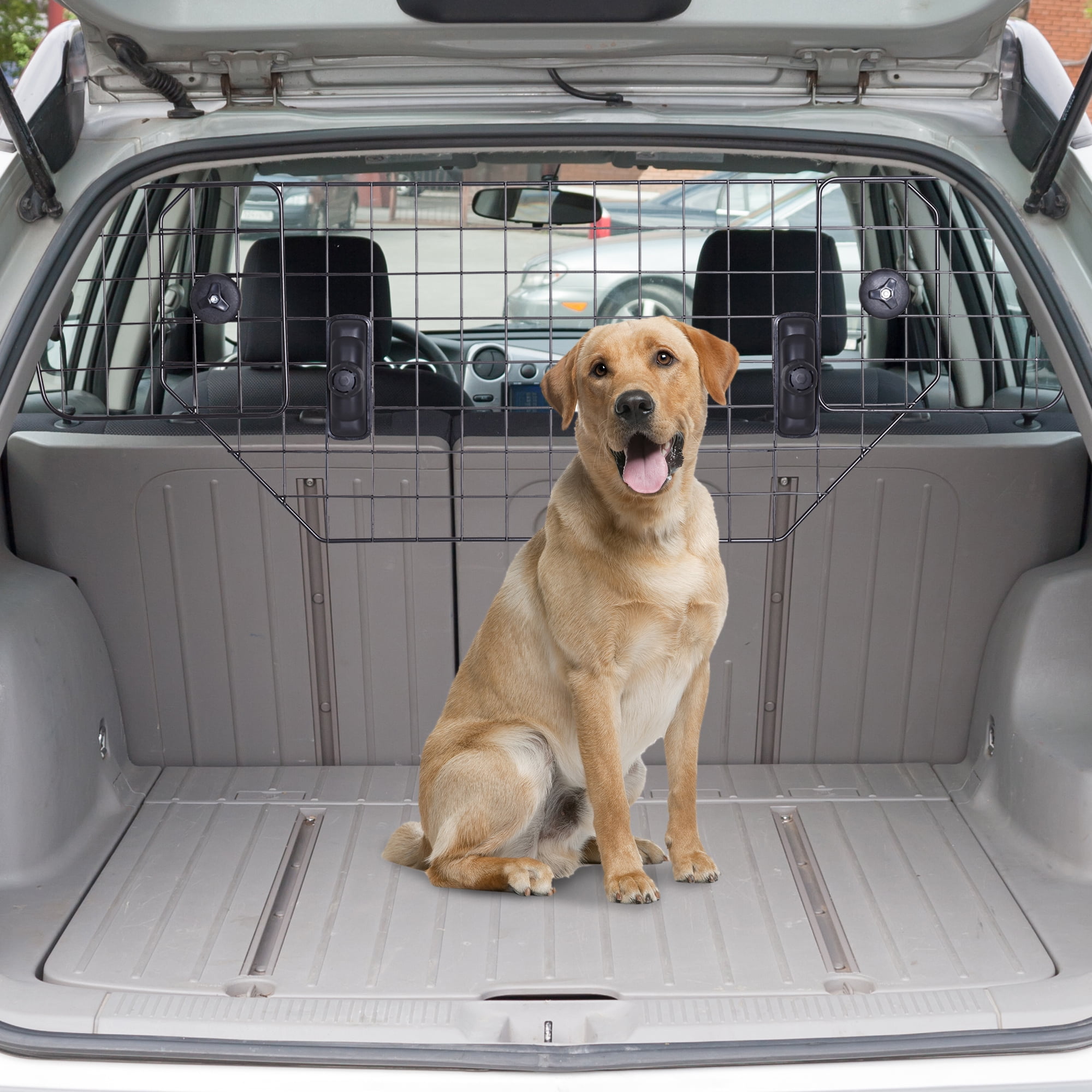portable pet partition
