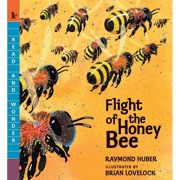 Pre-Owned Flight of the Honey Bee: Read and Wonder (Paperback) 0763676489 9780763676483