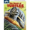 The World of Turtles