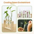 thumbnail image 2 of Riwesomey 8 Uds. De tubos de ensayo con tapones de corcho, tubos de laboratorio de plástico transparente, contenedores de líquidos, recuerdos de flores Medidores de medidas dimensionales Riwesomey BFH001291-00, 2 of 6