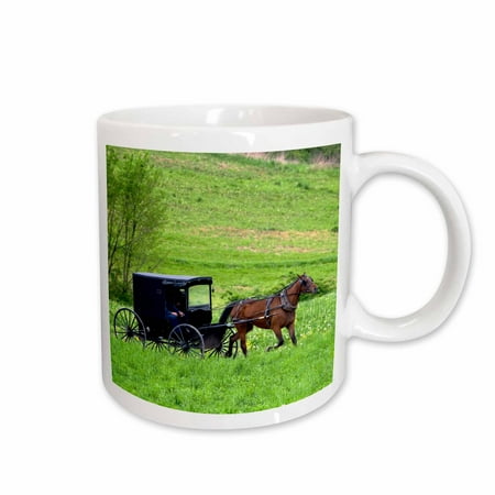 

3dRose Amish farm with horse buggy near Berlin Ohio - US36 DFR0018 - David R. Frazier Ceramic Mug 11-ounce