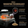 thumbnail image 5 of Ninja Woodfire™ Outdoor Grill & Smoker, 5 of 6