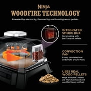 Ninja Woodfire™ Outdoor Grill & Smoker