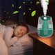 thumbnail image 1 of Humidifier Household Large Volume New Large Capacity Bedroom Silent Usb Desktop Atomizing Humidifier Deals Of The Day Clearance, 1 of 9
