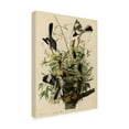 thumbnail image 3 of Trademark Fine Art John James Audubon Mocking Birds and Snake II Canvas Wall Art - 35x47, 3 of 5