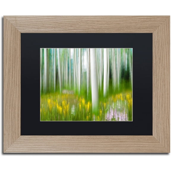 Trademark Fine Art "Aspen & Wildflower" Canvas Art by Michael Blanchette Photography Black Matte, Birch Frame