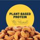 thumbnail image 5 of Deluxe Salted Whole Cashews, Party Snacks, Plant-Based Protein, Quick Snack for Adults, After School Snack, Roasted Cashew Flavored with Sea Salt, Bulk Nuts, Kosher, 1 lb 2.25oz Canister, 5 of 5