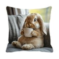 thumbnail image 2 of Rijanmt Easter Realistic Fluffy Bunny Comfort Pillow Case,Easter Throw Pillow Case With Flower Bunny And Eggs,Pillowcase Square Cushion Covers For Sofa Bed Couch,Spring Home Decor,17.71*17.71",E, 2 of 6