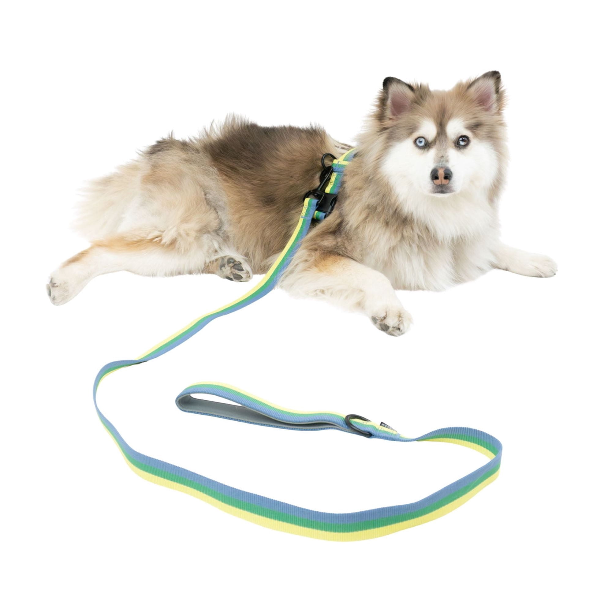 One Paw , Ensemble Harnais et Laisse pour Chien Lot de 3 avec Porte-Sacs à Excréments, Tailles Multiples, Bleu, Chiens