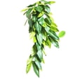 thumbnail image 2 of Flmtop Stimulation Reptile Plants Realistic Multifunctional Resin Lifelike Artificial Hanging Vine for Home, 2 of 9