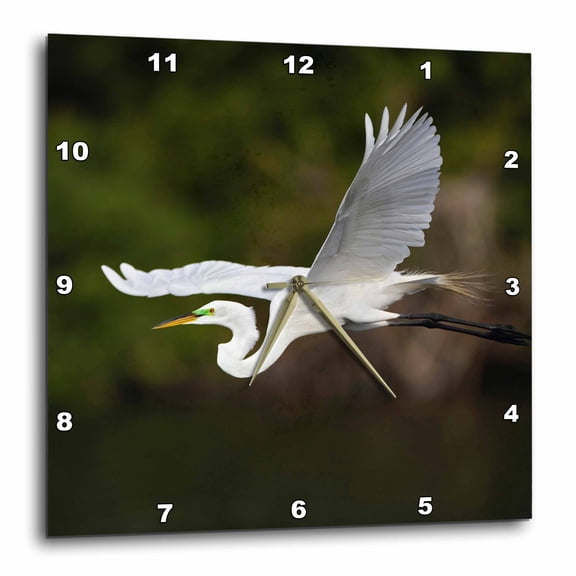 3drose, Great Egret Bird in Flight, Sanibel Island, Florida - Us10 Aje0244 - Adam Jones, 10x10 Wall Clock
