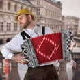 thumbnail image 2 of Rowadtim 31 Key Diatonic Accordions, 12 Bass Buttons (G/C/F Tuning) Suitable for Beginners, Adults, Performances and Teachers; Comes with  Case, Adjustable Strap, Gloves and Polishing Cloth (Gray), 2 of 8