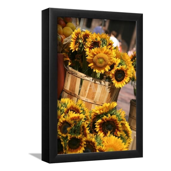 Sunflowers for Sale in Copley Square in Boston Massachusetts, Framed Art Print Wall Art by pdb1 Sold by Art.Com