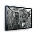 thumbnail image 3 of Close Up Of Scottish Cow On Moorland II 40 in x 30 in Framed Photography Canvas Art Print, by Designart, 3 of 5