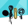 thumbnail image 1 of SHOWERORO 1Pcs 800 Capacitor Microphone with Low Noise for Vocalists and Musicians, 1 of 8