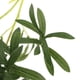thumbnail image 5 of Hoja de olivo Artificial Gloria 98cm Plantas de césped artificial, 5 of 9