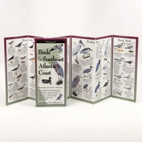FoldingGuides: Birds of the Southeast Atl. Coast (Other)