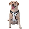 thumbnail image 1 of Fotbe Nautical Lighthouse Sailboat Arnés para Perro con Estampado –Chaleco Ajustable Acolchado con Asa de Control para Perros Grandes-Large, 1 of 6