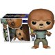 thumbnail image 2 of FUNKO POP Classic Monsters The Wolf Man #114 Dracula #111 Action Figure Model Dolls Toys Gifts for Kids POP Toys, 2 of 5