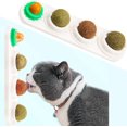 thumbnail image 1 of Bolas de hierba gatera, juguete para gatos, bolas comestibles giratorias, bolas comestibles de hierba gatera autoadhesivas naturales y saludables (blanco) Sincero Electrónica, 1 of 5