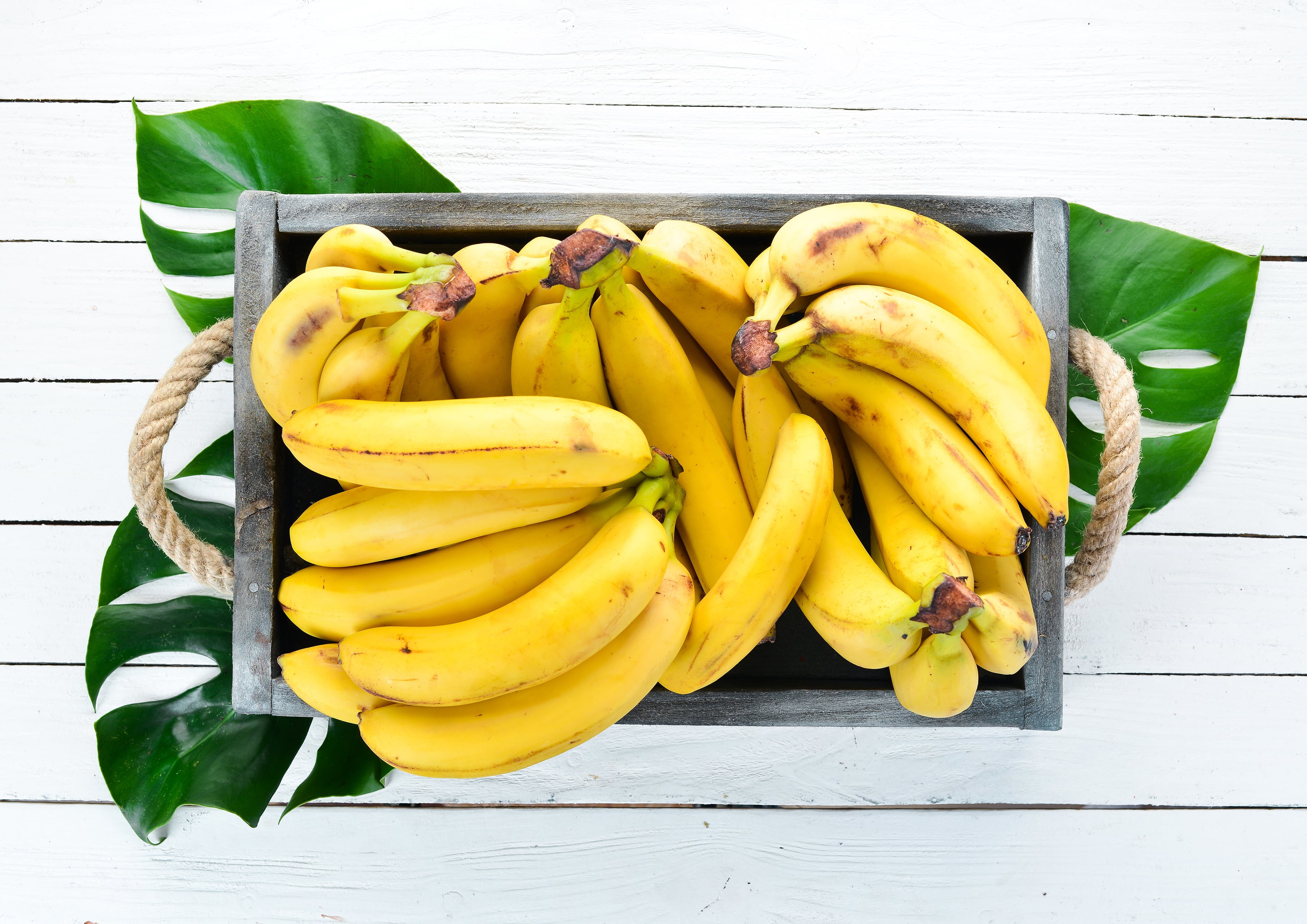 Organic Dried Banana Slices, 1.5 Pounds — Non-GMO, Raw, Vegan — by Food to Live