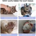 thumbnail image 4 of Pets Nail Scissors Cat Claw Trimmer Dog Nail Clippers with Nail File Nail Cutter Pet Grooming Tool for Small Animals, 4 of 5