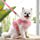 thumbnail image 5 of Juego de arnés y correa para perro, linda falda de encaje floral para gatos, perros pequeños, cachorros JAMW Sencillez, 5 of 5