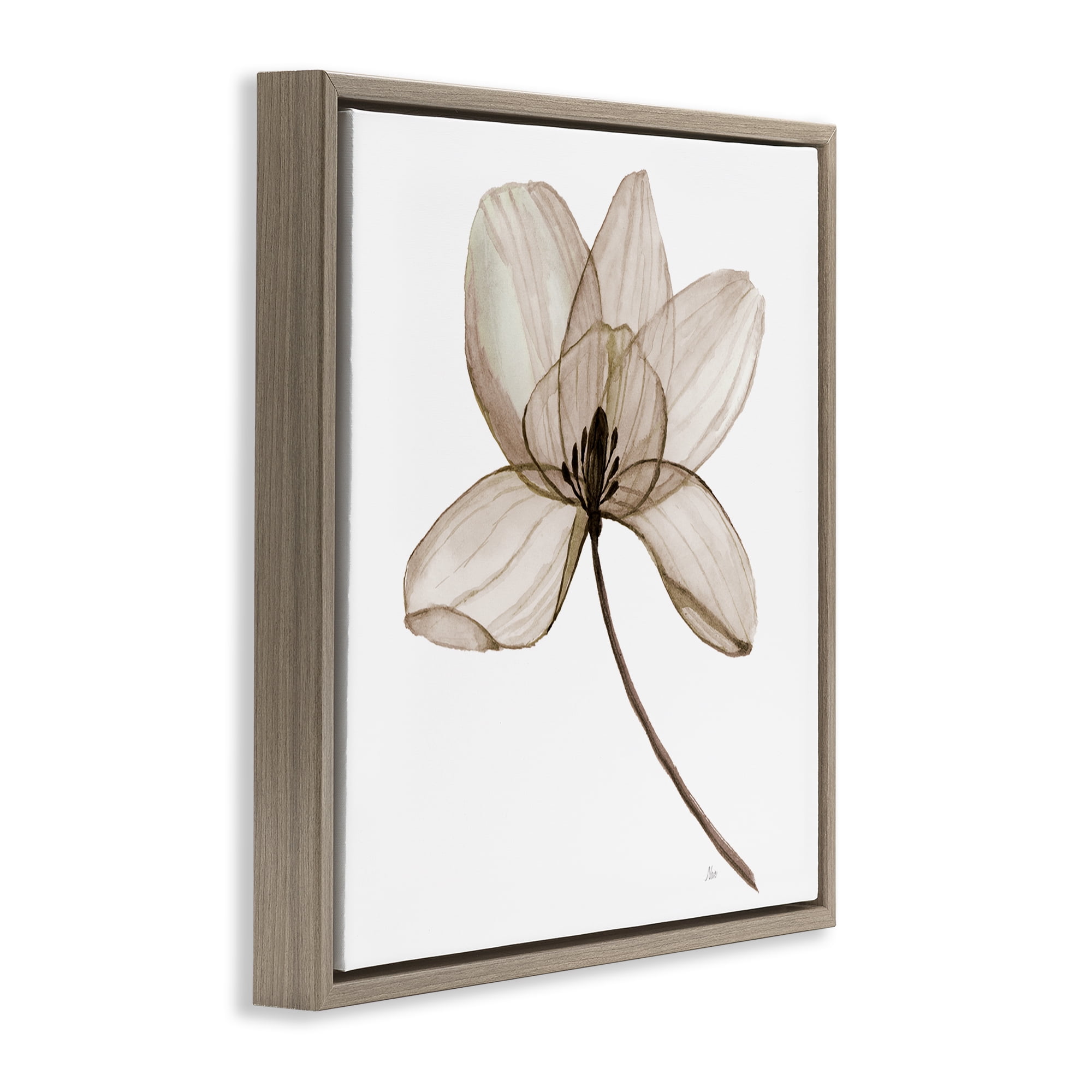 Stupell Industries Beige Opaque Blossom Plants & Flowers Painting Brown Floater Framed Canvas Art Print Wall Art, 25 x 25