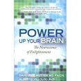 thumbnail image 1 of Power Up Your Brain, Alberto Villoldo, David Perlmutter Paperback, 1 of 1