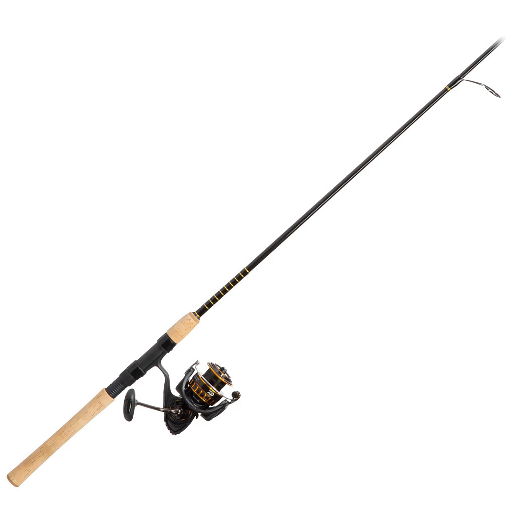 Daiwa BG Saltwater Pre-Mounted Spinning Combo 8' Length, 2 Piece
