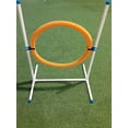 thumbnail image 1 of Handlers Choice  Backyard Training Tire Jump, 1 of 1