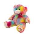 thumbnail image 2 of Plush Gear 16" Rainbow Bear - Soft Stuffed Animal, Plush Toy, Rainbow Colors, 2 of 3