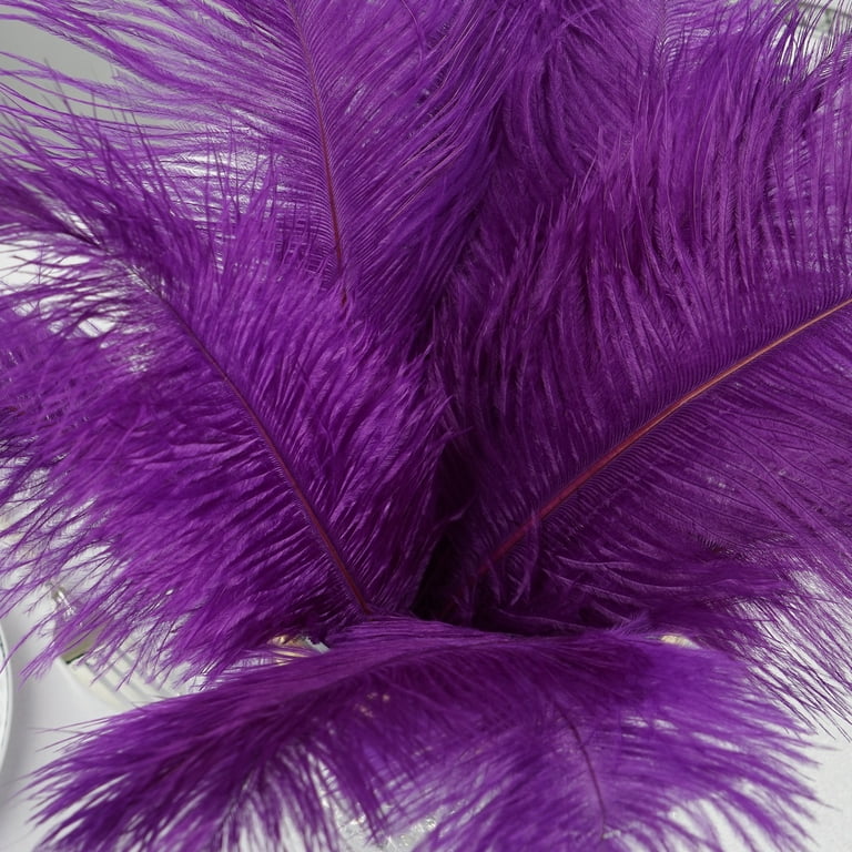 BalsaCircle 12 Pieces 13-15 Purple Authentic Ostrich Feathers  Centerpieces 