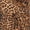 Brown Cheetah, variant on White Mark Women's Roselle Wrap Dress