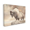 thumbnail image 3 of Stupell Wildlife Bison Forest Nature Scenery Animals & Insects Painting Gallery Wrapped Canvas Print Wall Art, 3 of 5