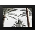 thumbnail image 2 of 1x Studio III 24x17 Black Modern Framed Museum Art Print Titled - Palm_007, 2 of 5