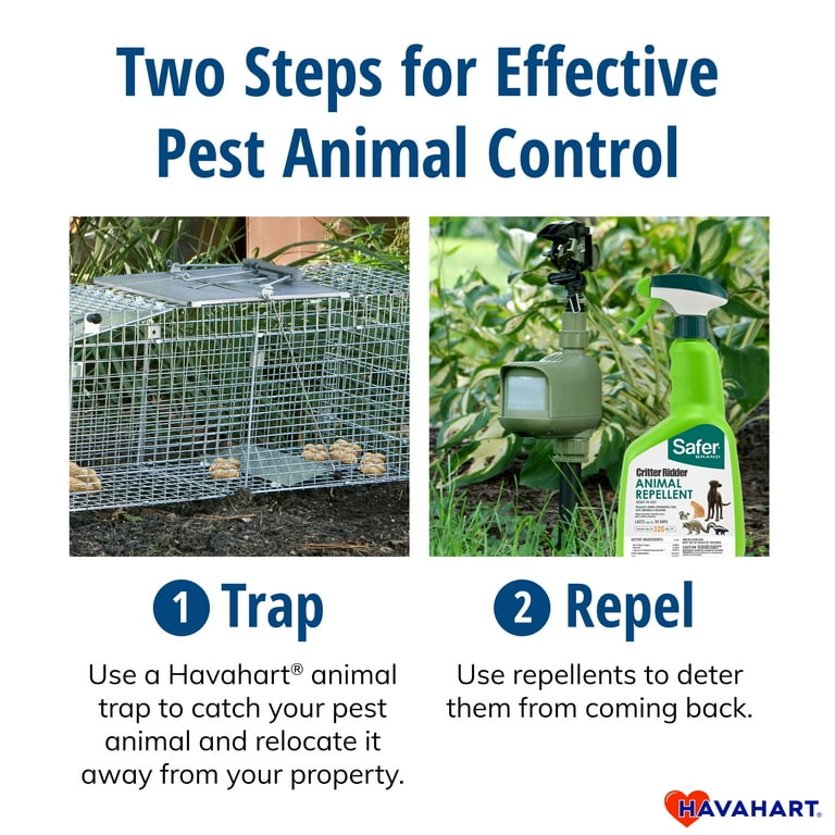 Answer For Small Pests - 16 X 5 X 5 Pro Live Animal Trap