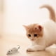 thumbnail image 4 of Ratón De Cuerda Para Gatos Gatito, Rata Mecánica Realista, Juguetes Interactivos, 4 of 4