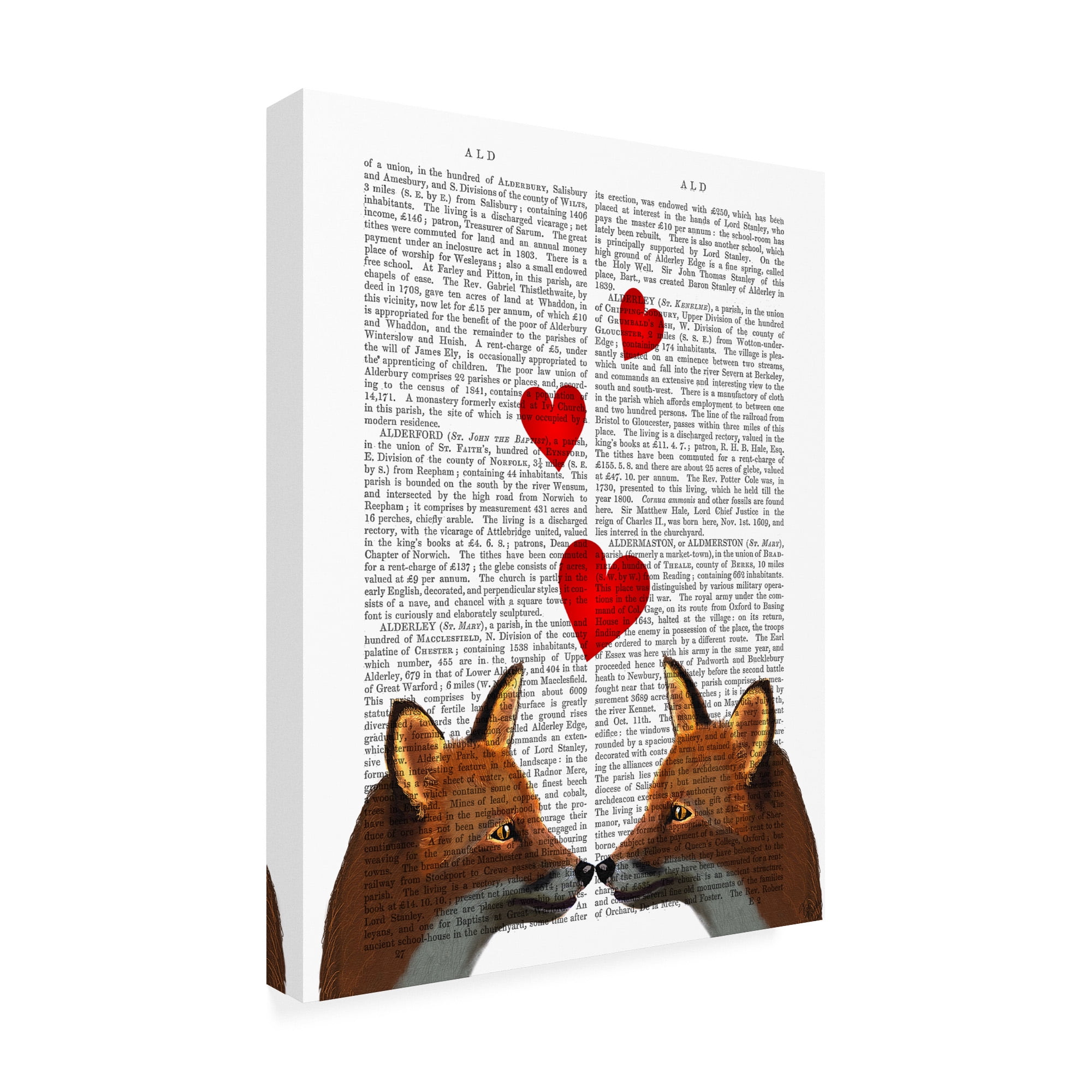 Trademark Fine Art 'Foxes In Love' Canvas Art by Fab Funky