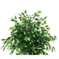 thumbnail image 4 of SAFAVIEH Faux Bush Ficus 55" Potted Tree, Green, 4 of 6