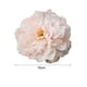 thumbnail image 4 of Farfi 1pc Artificial Flower Peony Flower Head Bride Bouquet Silk Artificial Peony Flowers For Wedding, 4 of 4