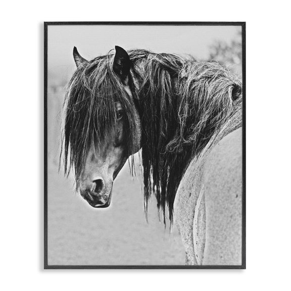 Stupell Industries Farmhouse Black White Monochrome Serene Fjord Horse Portrait Black Framed Giclee Art, 11 x 14, by Sally Linden
