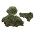 thumbnail image 2 of 3x Scenr Building Lichen Hierba Sunnimix Musgo de liquen natural, 2 of 6
