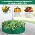 thumbnail image 4 of 10/40/50/100 Gallons fabric garden raised bed round planting container grow bags fabric planter pot for plants nursery pot, 4 of 10