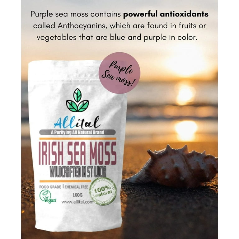 Purple Sea Moss - Organic Full Vegan Smoothies, of St Minerals, 100G Lucian, Soups Purple Raw for Wildcrafted Great Irish SeaMoss, GMO, Non