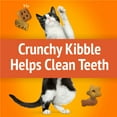 thumbnail image 5 of Purina Friskies Party Mix Original Crunch,  Cat Treats, Chicken, Liver, & Turkey, 20 oz Canister, 5 of 13