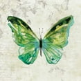 thumbnail image 2 of Robinson, Carol 12x12 White Modern Wood Framed Museum Art Print Titled - Butterfly Sketch, 2 of 4